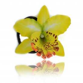 Élastique "Orchidée de Thaïlande" en tissu