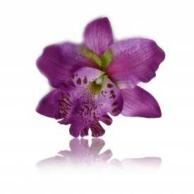 Mini pince à cheveux "Orchidée de Thaïlande" en tissu